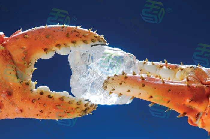 提升油污渍洗涤效果 工业清洗&家用清洗螯合分散剂