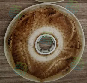 膜专用清洗剂在DTRO中的应用案例